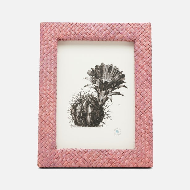 Pigeon and Poodle Uvita Framex 5x7