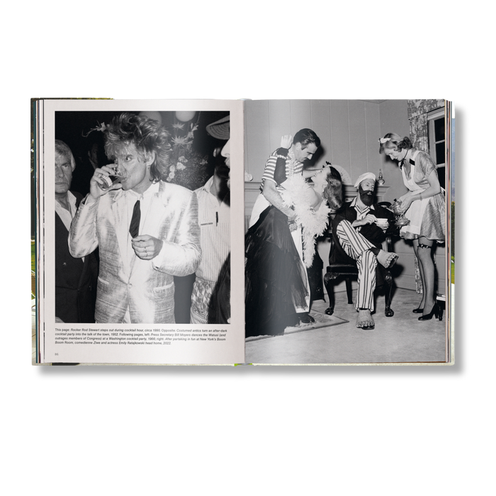 The Stylish Life: Cocktail Parties