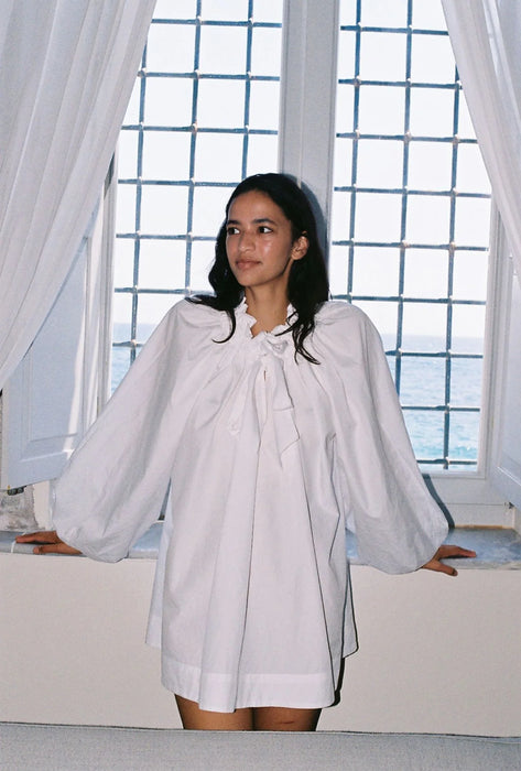 caroline constas dress Palmer GOWN