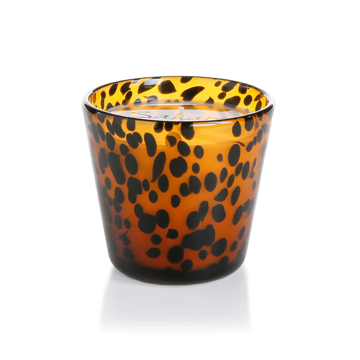 Tortoise Scented Candle Jar- Coconut Mango