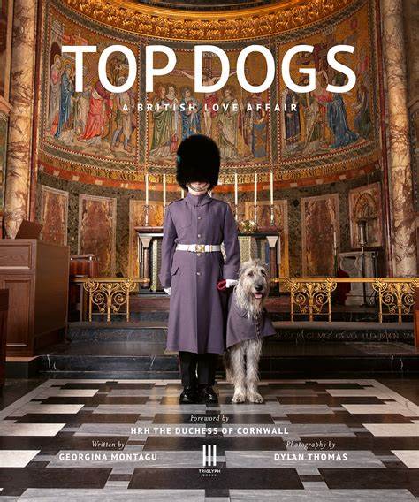 Top Bogs a British love affair (Hardcover)