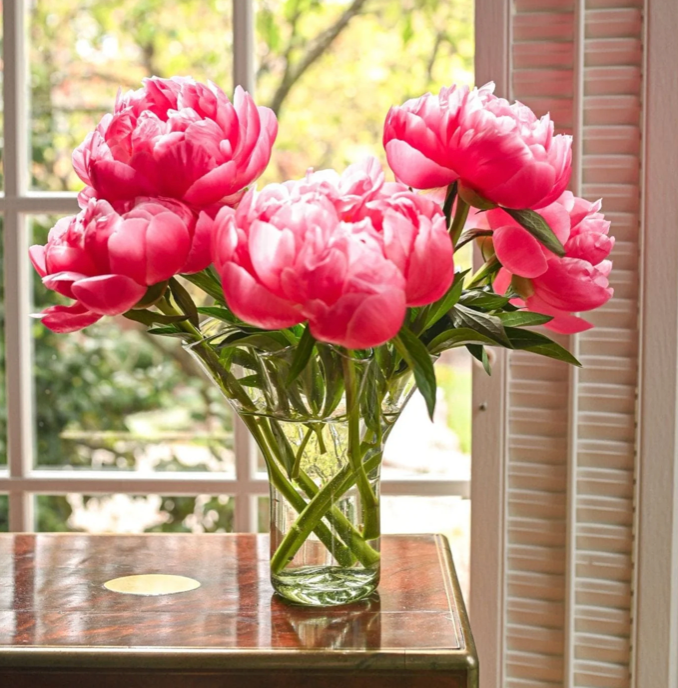The Original Lettuce Leaf Vase