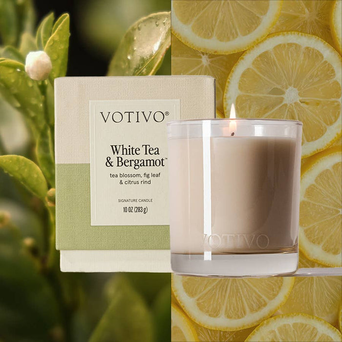 White Tea & Bergamot Signature 10 oz Candle