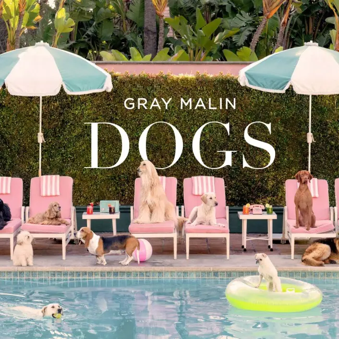 Gray Malin: Dogs Coffee Table Book