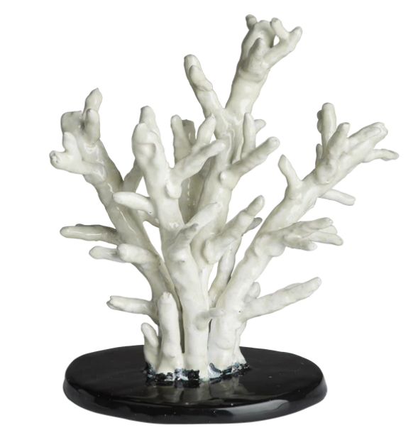 Abigails Coral, Ivory w/ Black Oval Vase