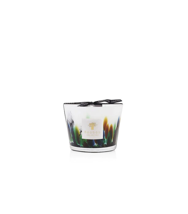 Baobab Rainforest Amazonia Candle