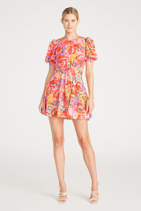 Amur Cole Cutout Mini Dress