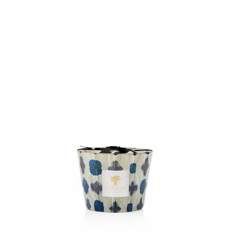 Baobab Odyssee Ulysse (max 16)